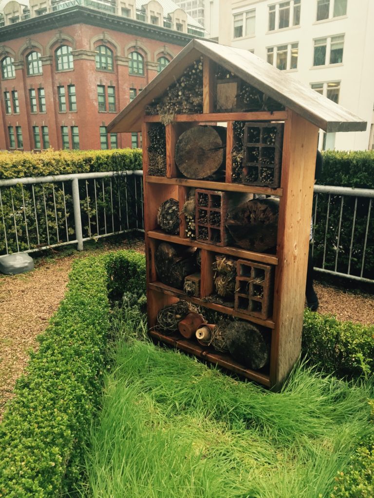 Mason Bee Hotel on the rooftop garden of Fairmont Waterfront Hotel downtown Vancouver