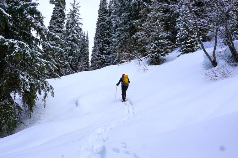 Action 4 - snowshoe trail
