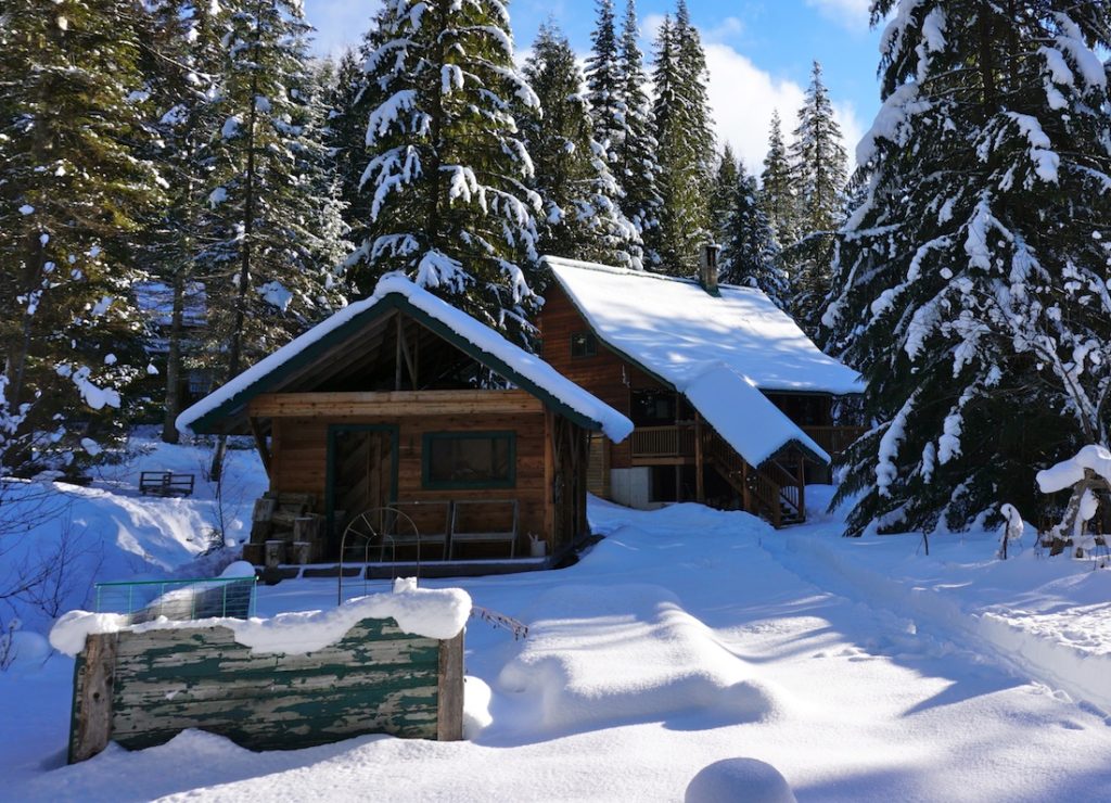 intro - business - lodge winter
