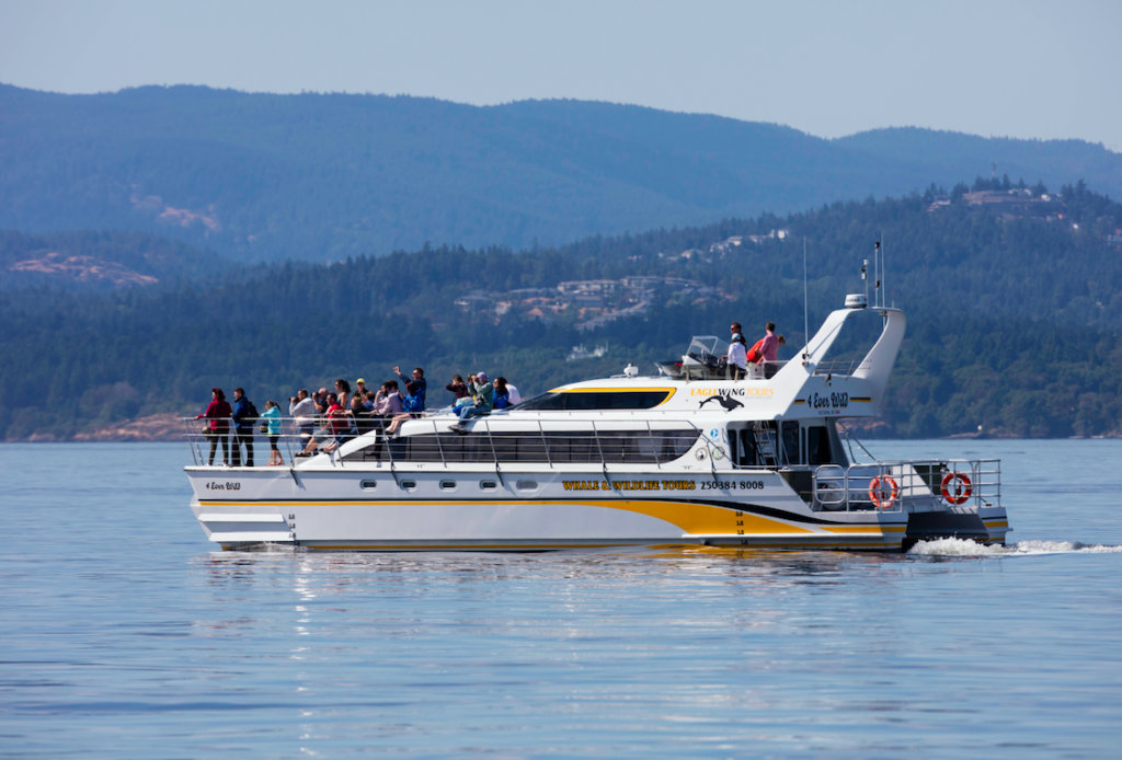 New Boat Eagle Wing Tours Green Tourism Gold