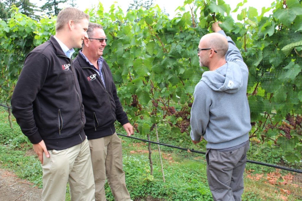 John Carley and Mark Sylvester of ASAP Geomatix testing the bountiful crop with 40 Knots Vineyard and Estate Winery owner Layne Craig.