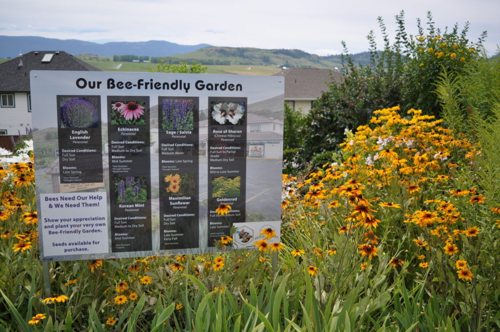 planet bee honey farm customer education on bee-friendly gardens