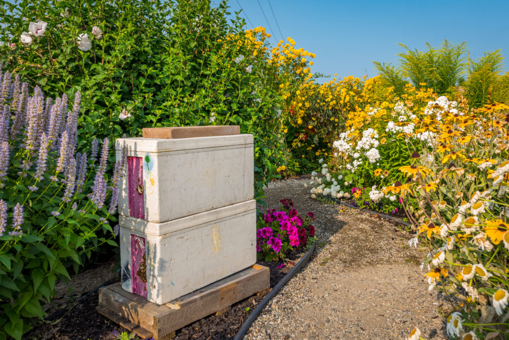 planet bee honey farm honeybee boxes vernon british columbia canada