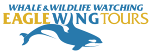 logo file for Eagle Wing Whale and Wildlife Watching Tours