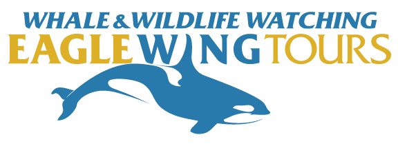logo file for Eagle Wing Whale and Wildlife Watching Tours