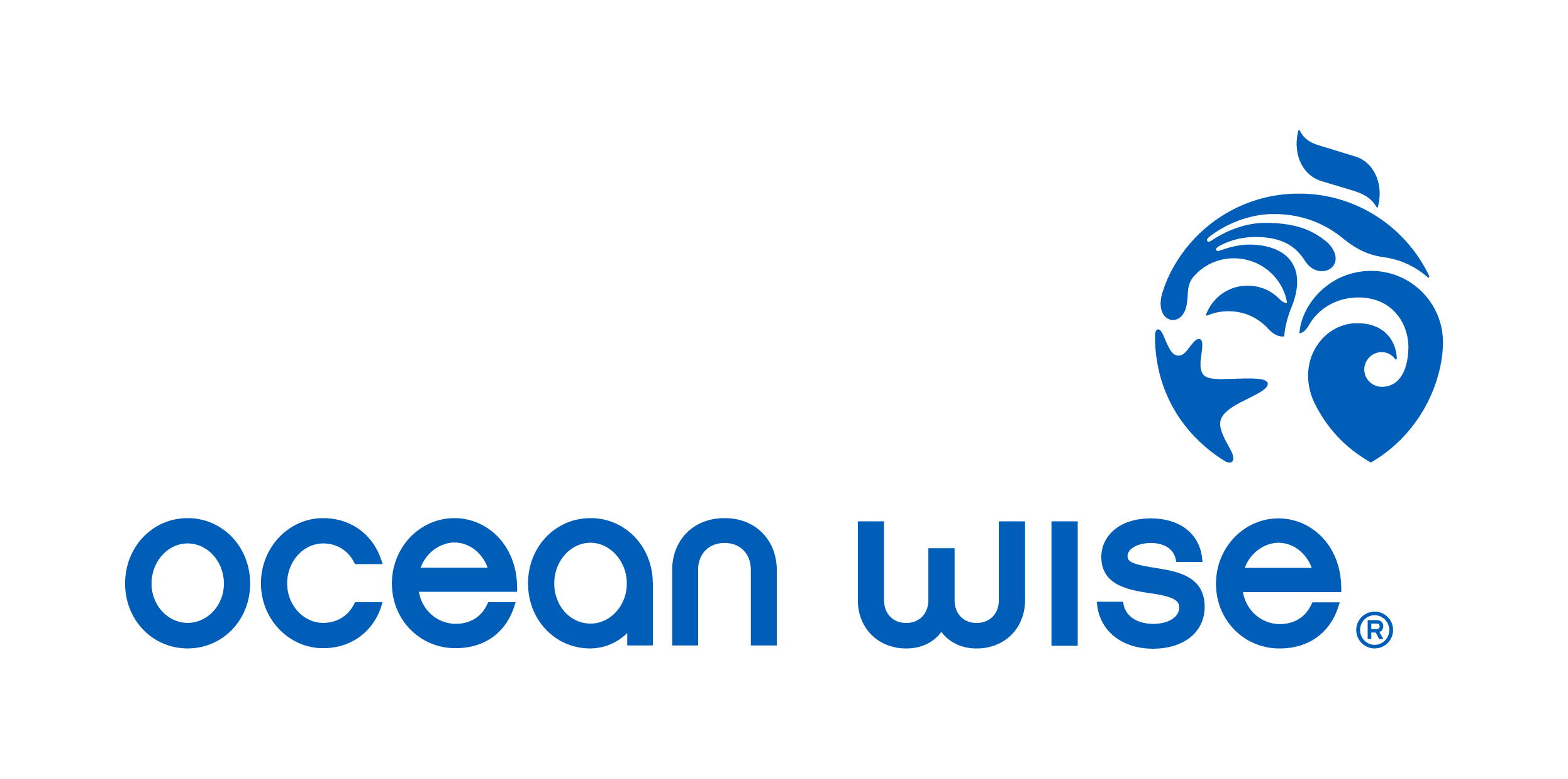 oceanwise-logo-horizontal-rgb